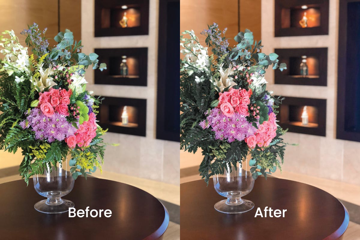 Presets Dành Cho Chụp Ảnh Hoa (XMP/ACR, DNG) B5F972 3 9979ac4b 8321 4354 a226 d03dff1b7377