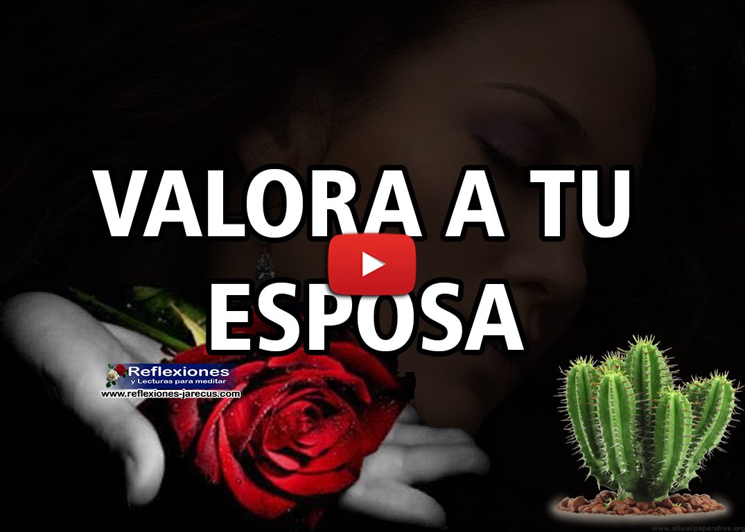 T con tilde y tu sin tilde - Blog de Lengua