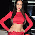 Sonal Chauhan Stills at Size Zero