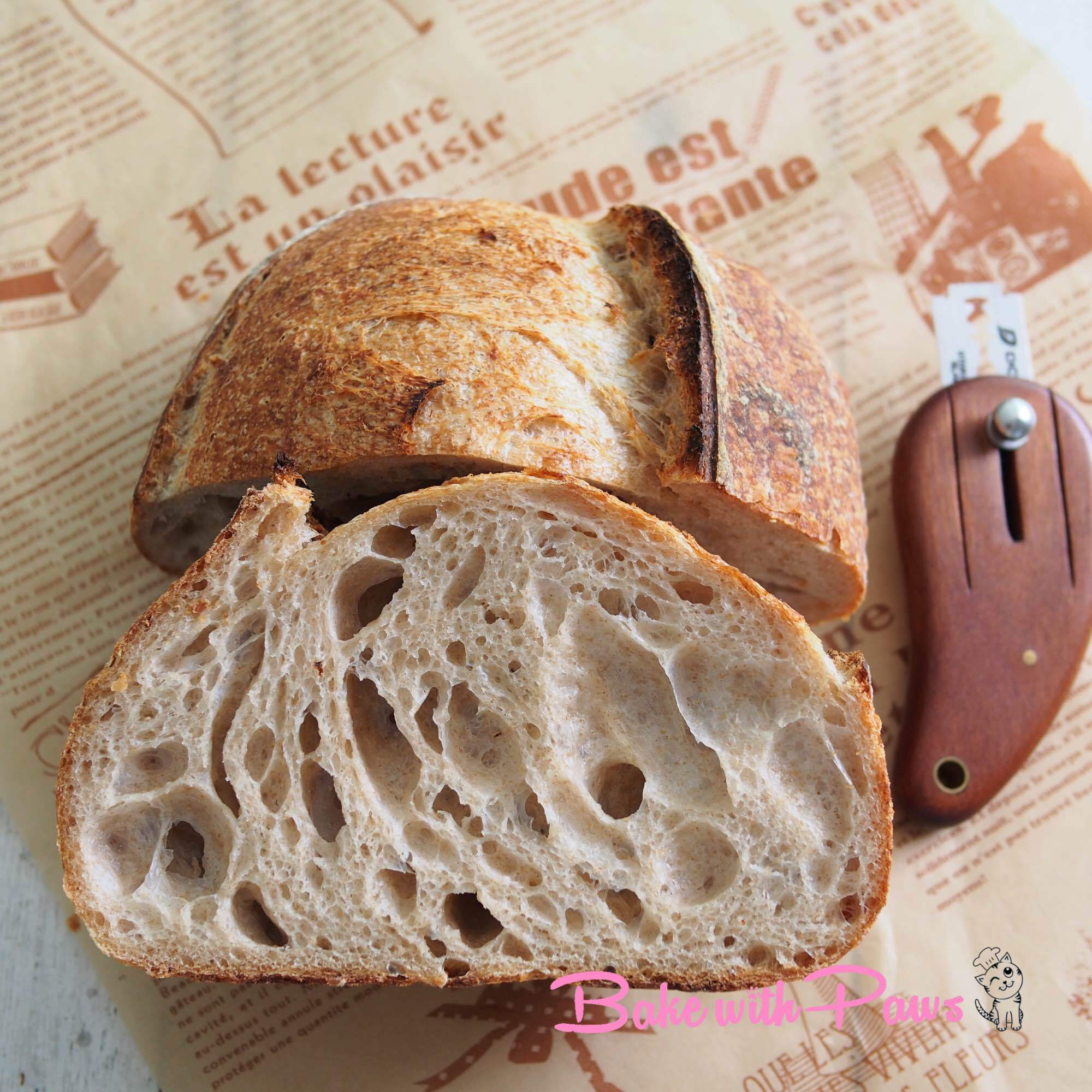 Basic Open Crumb Sourdough Bread (High Hydration) BAKE WITH PAWS