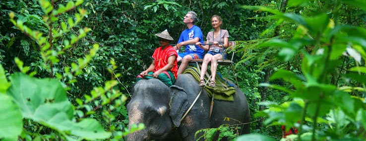 http://www.bespokeindiaholidays.com/adventure-tour-packages.html