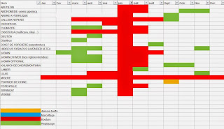 LE JARDIN DE PASCALINE: Boutures à faire en juin