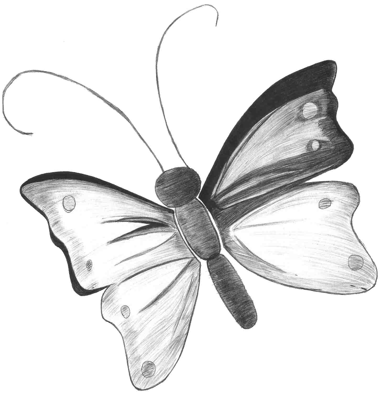 My Little Works