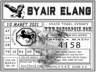 sayair sydney elang