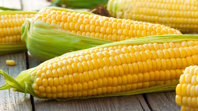 ¿Qué maíz consumimos?