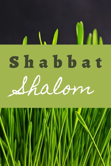 Shabbat Shalom Card Messages - Awesome Greeting Cards - 10 Unique Picture Images