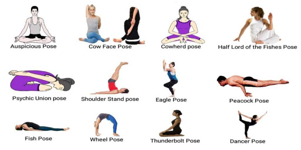 What is Yoga? 100 Types of Yogasana & Pranayama names with image |
