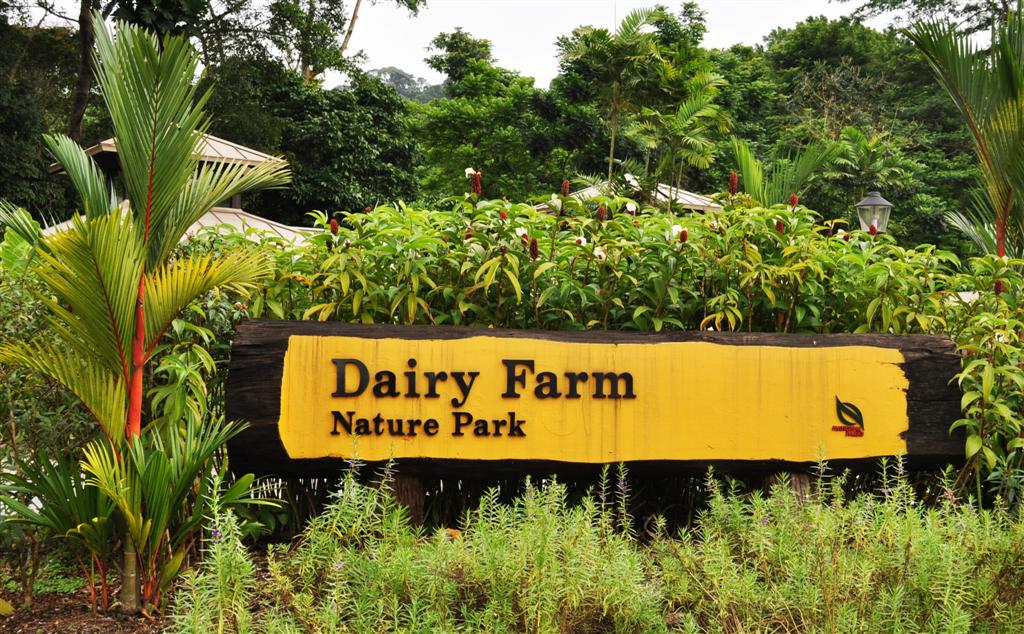 Entree Kibbles Singapore Quarry Dairy Farm Nature Park