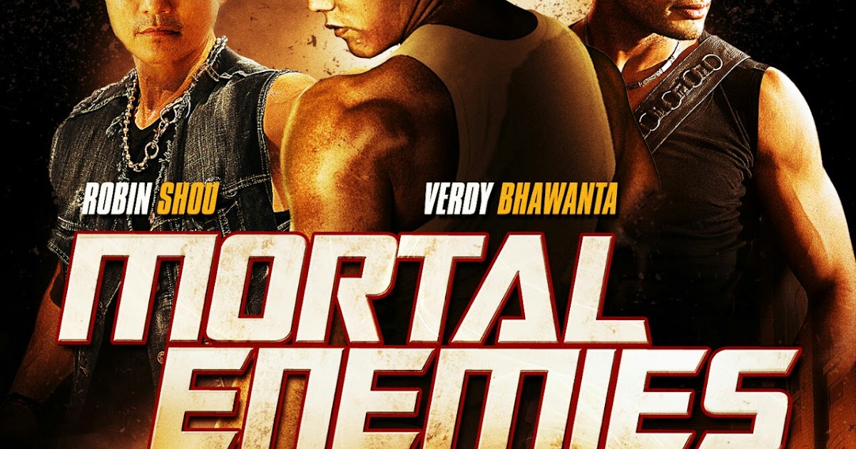 Storm shadow g. Драка в скайриме. Vigilant скайрим. Mortal enemies. Скайриме файтинг.