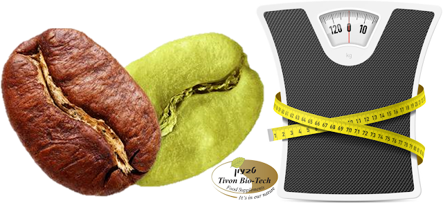 דיאטת קפה ירוק - אתר ויטמין