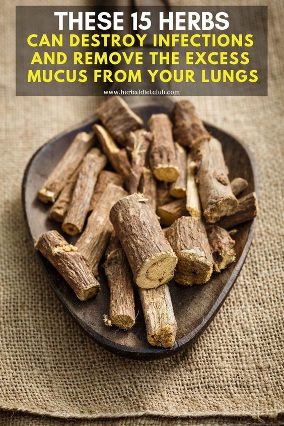 These 15 Herbs Can Destroy Infections And Remove The Excess Mucus From