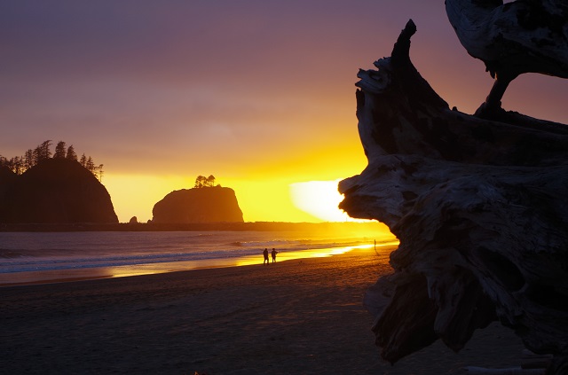 La Push Washington, 1st beach, driftwood, sunset
