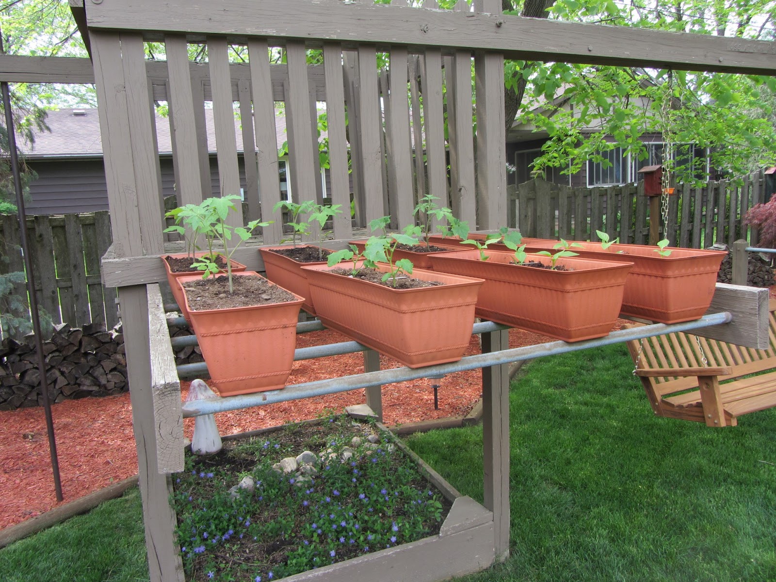 Paper Cut Screams: My Experimental Platform Garden