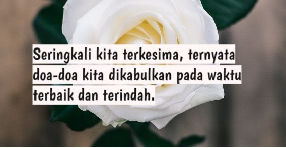 85 Kata Mutiara Indah Pada Waktunya, Sabar Untuk Hari Esok