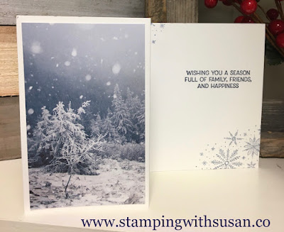 Stampin' Up!, Feels Like Frost Suite, Simply Scored, Fun Fold, Frosted Foliage, 
