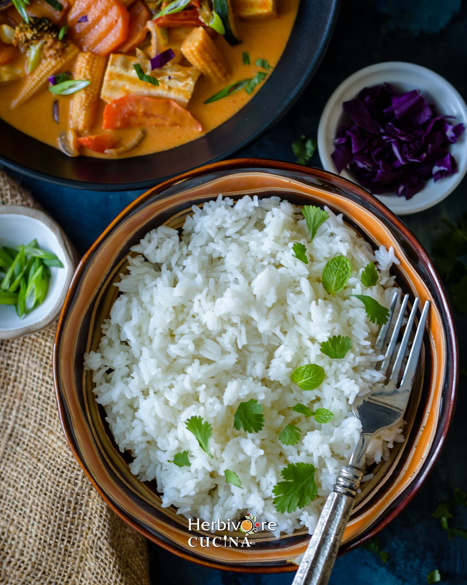 Herbivore Cucina Instant Pot Jasmine Rice