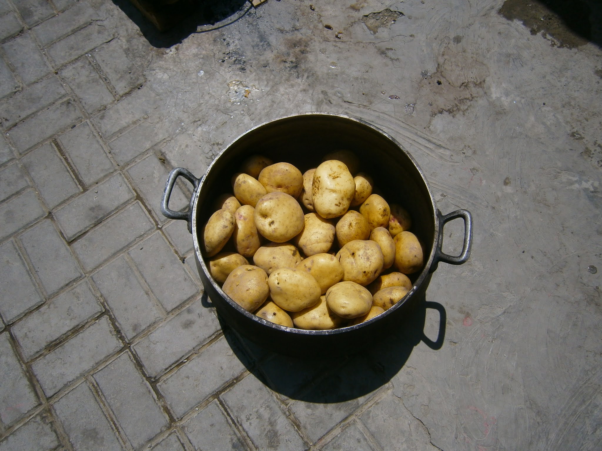 Olla grande que contiene papas peladas listas para ser cocinadas