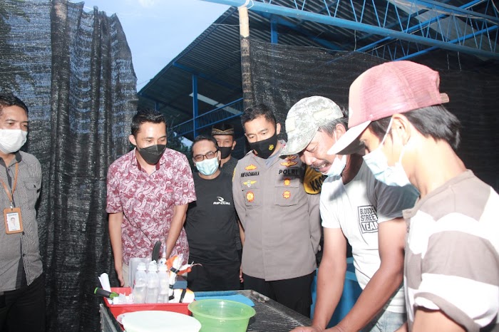 Dari Usaha Ikan Lele Desa Keting Kecamatan Jombang Jember ini Ciptakan Produk Ekspor