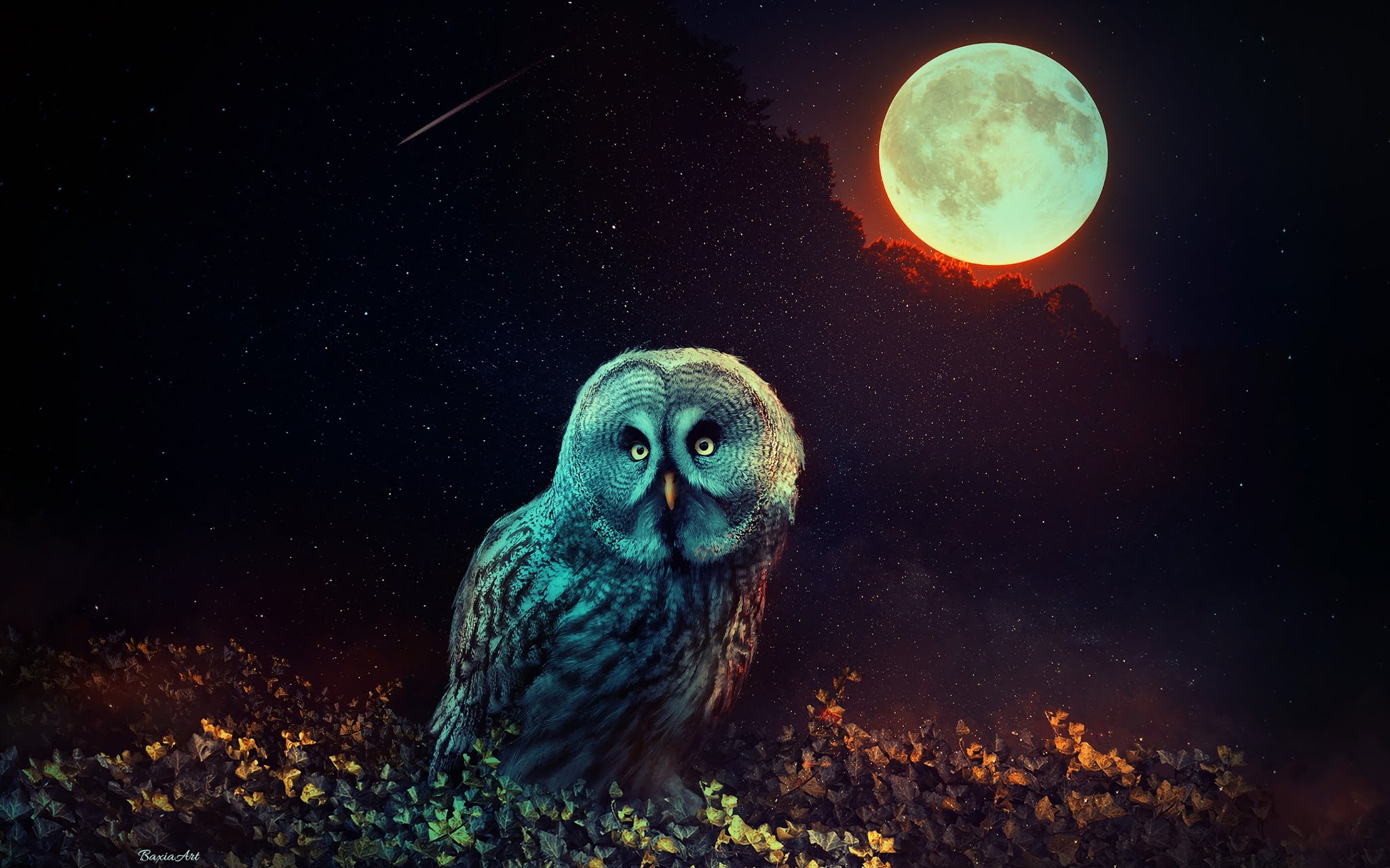 night owl viewer for pc night owl viewer for pc