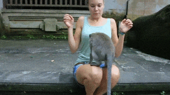 daily_gifdump_3452_08.gif