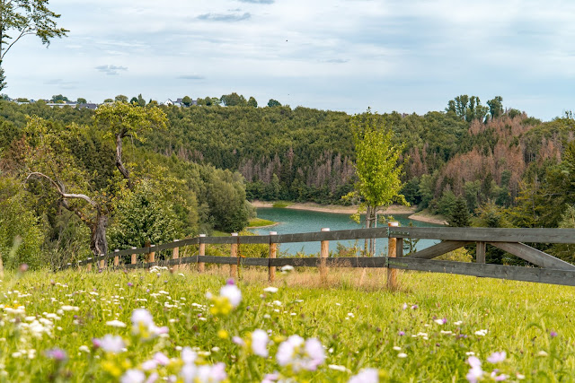 Talsperrenweg Siegburg | Wahnbachtalsperre | Erlebnisweg Sieg | Naturregion Sieg 18