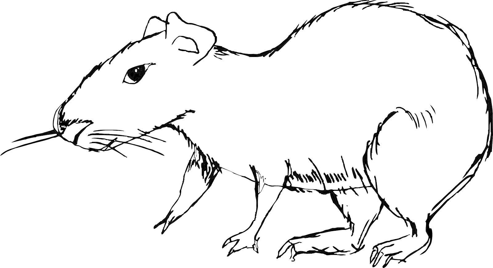 El arte de desplumarse: 08.12