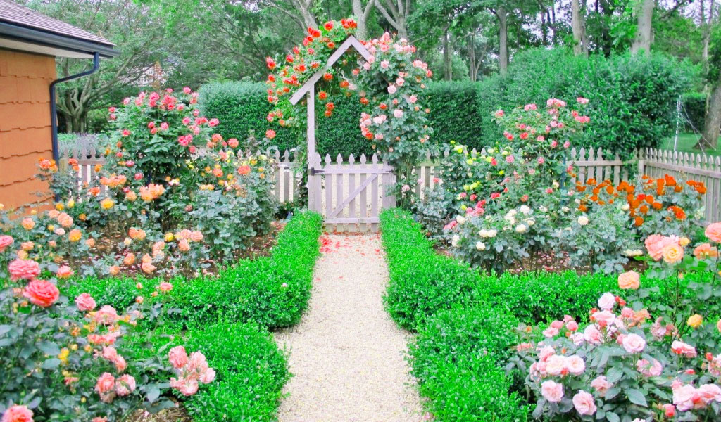 Cottage Garden Design Ideas to Add Value to Your Home