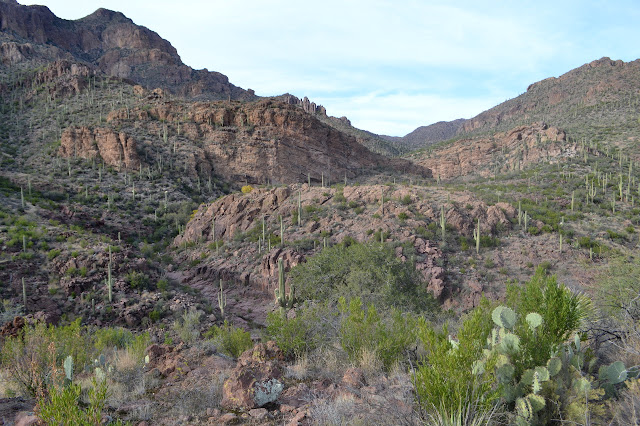 Red Tanks Canyon