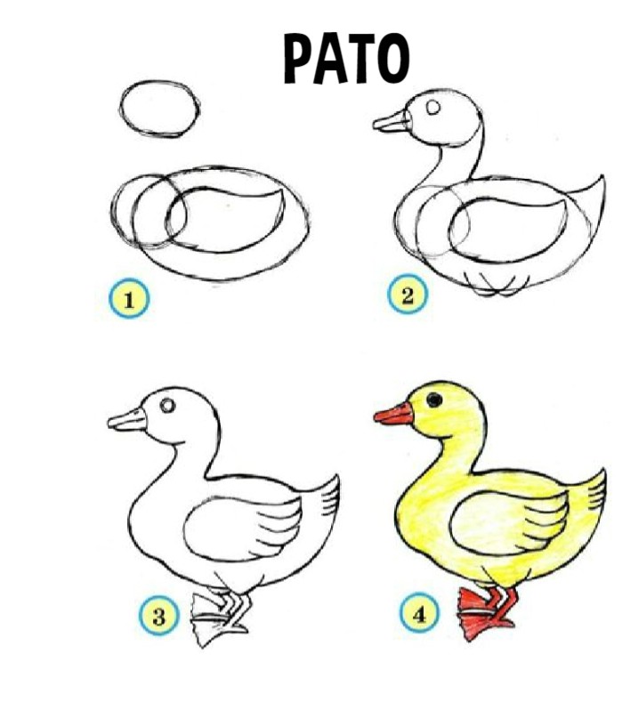 Pato, aprender a dibujar un pato para niños - Colorear dibujos infantiles
