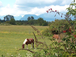 Farms Passed as We Walk