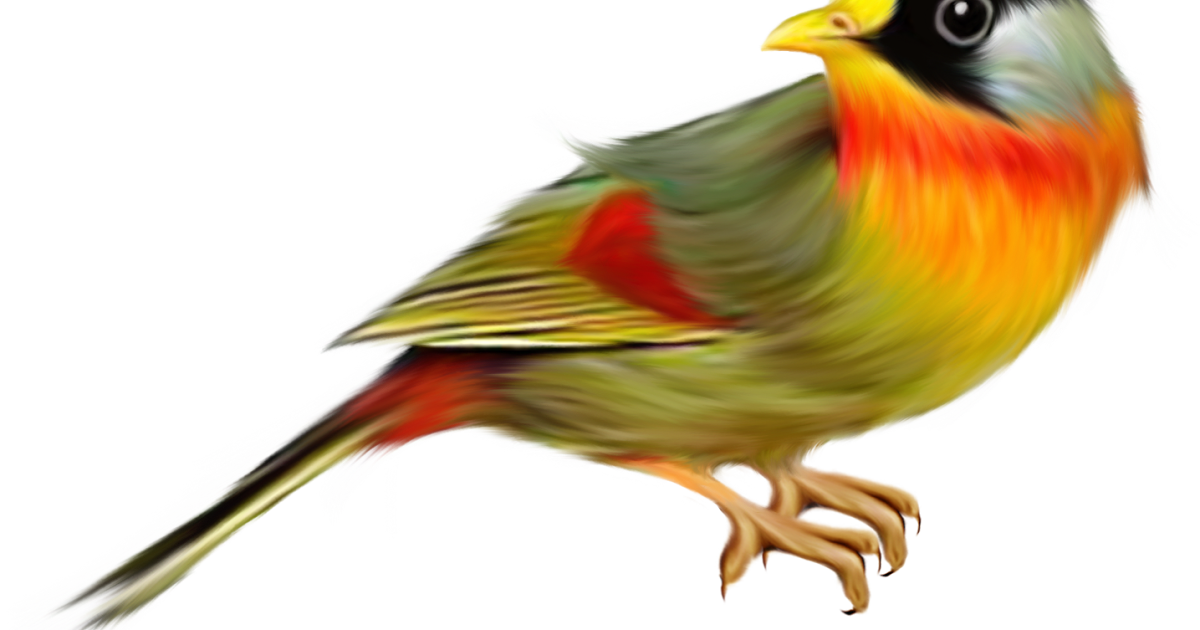 62+ Gaya Terbaru Lukisan Burung Enggang, Gambar Lukisan