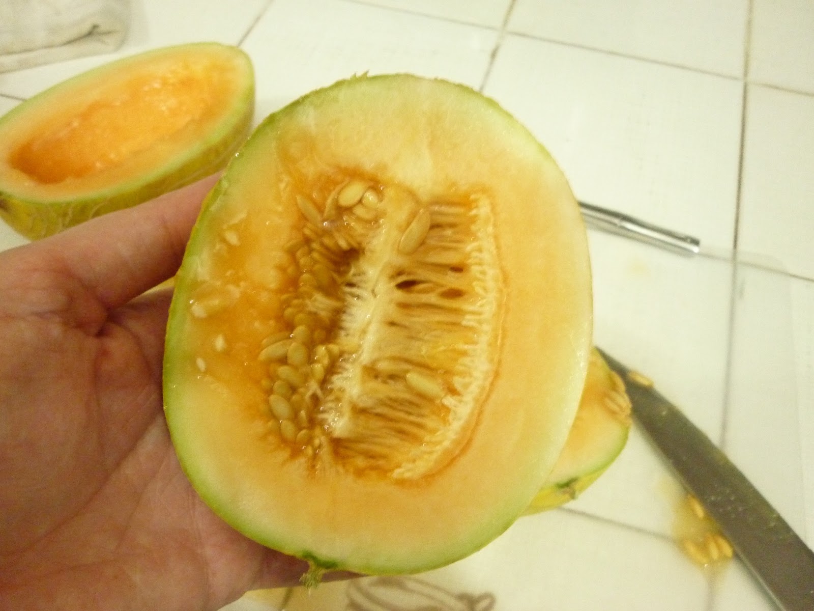 commuNICA Fruit of the day Dinosaur Eggs