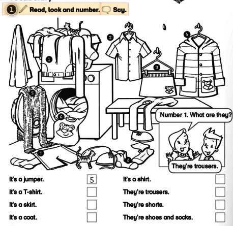 Seneca School - Year 1 - Science / English: English - Clothes - Reading