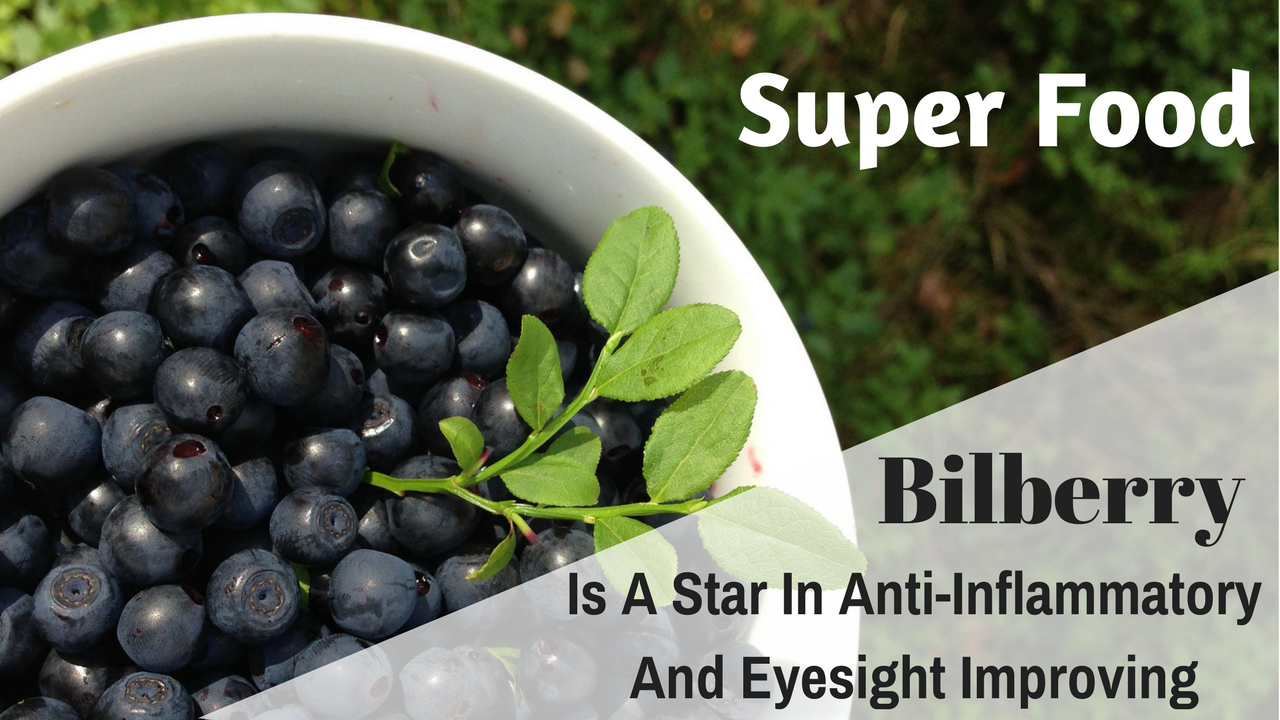 Ozela Kate Super Food Bilberry Is A Star In AntiInflammatory And