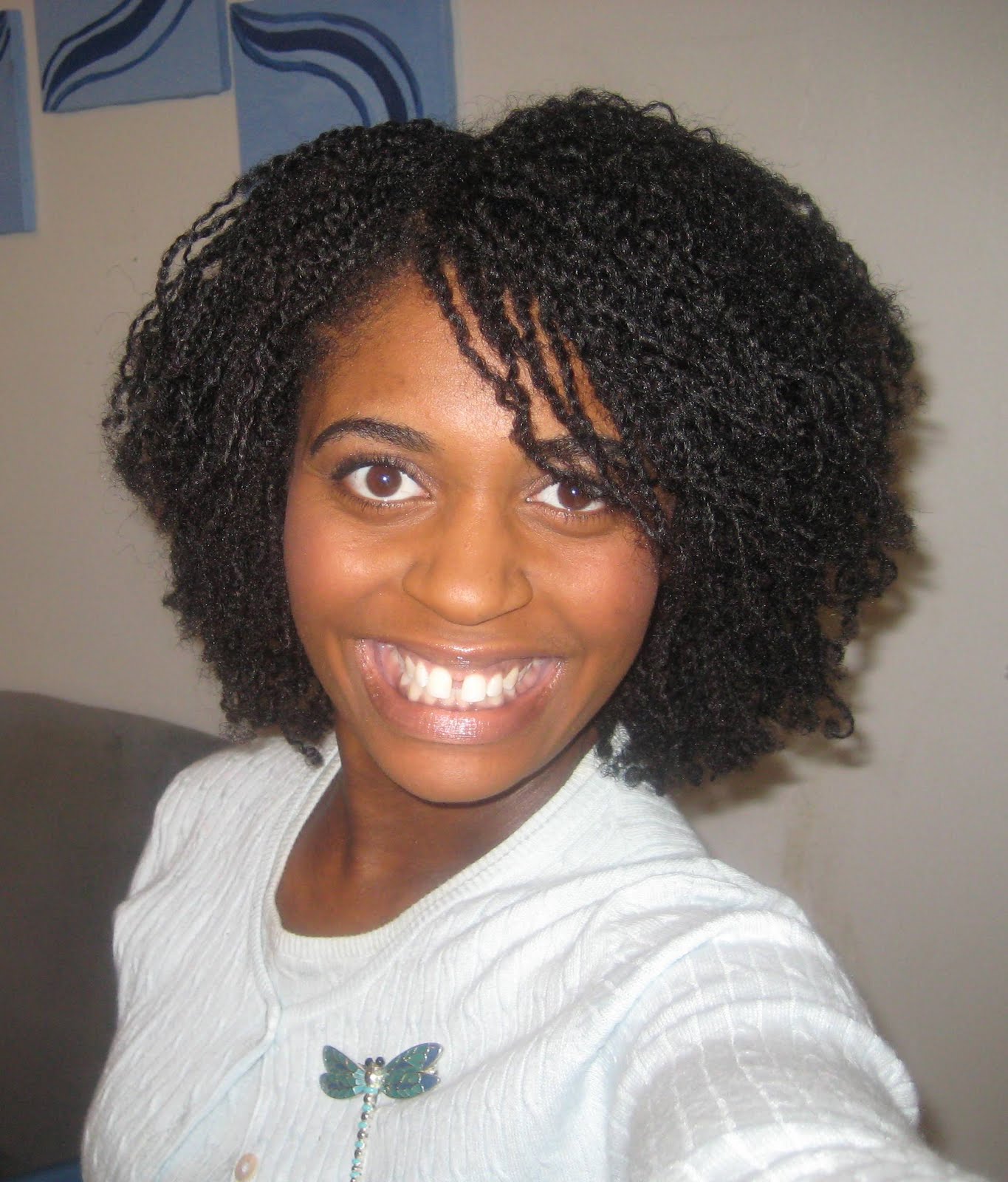 Naturally Elegant Hairstyle Mini Twists