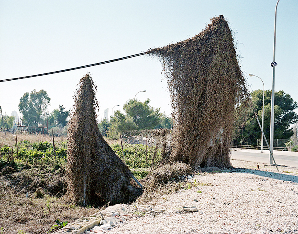 Interview with Rafa Alcácer Interview with Rafa Alcácer