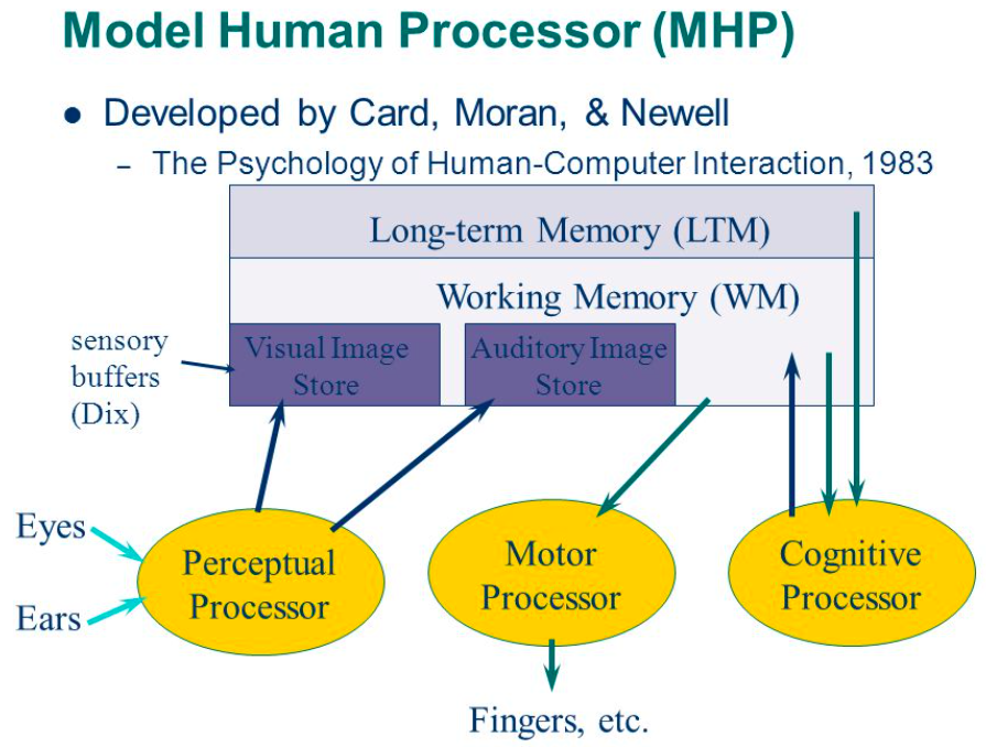 Human since. Модель goms. Long term Memory working Memory. Процессинг в психологии. Human Computer interaction.