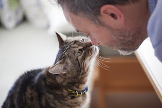 Lo mejor de los hombres que aman a los gatos