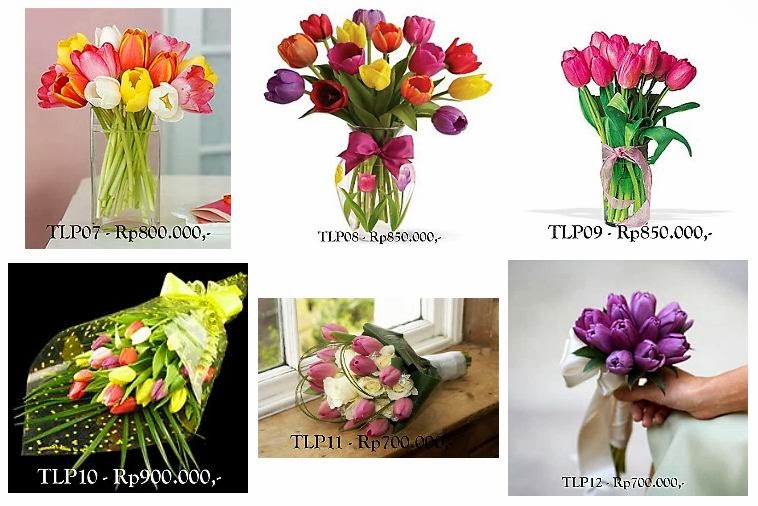  Jual Bunga  Tulip Jakarta Telp 021 41675773 Florist 