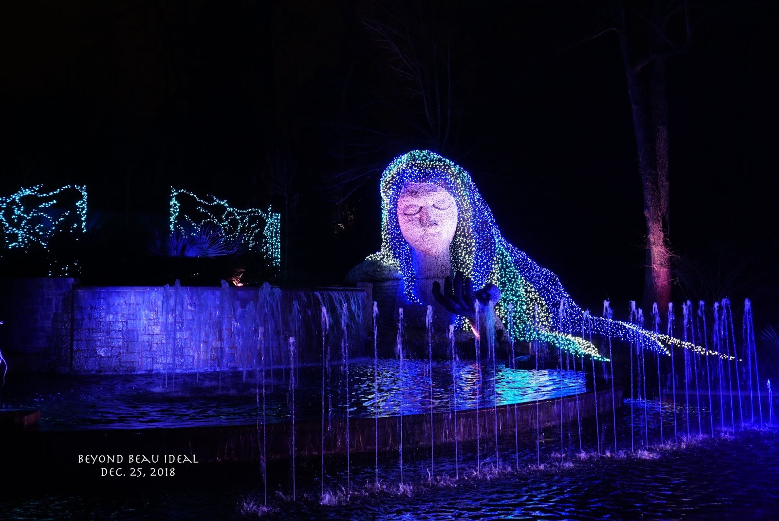 Beyond Beau Ideal 至美之境 My Life In Atlanta Atlanta Botanical