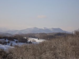 A view from the RV once when it quit snowing.