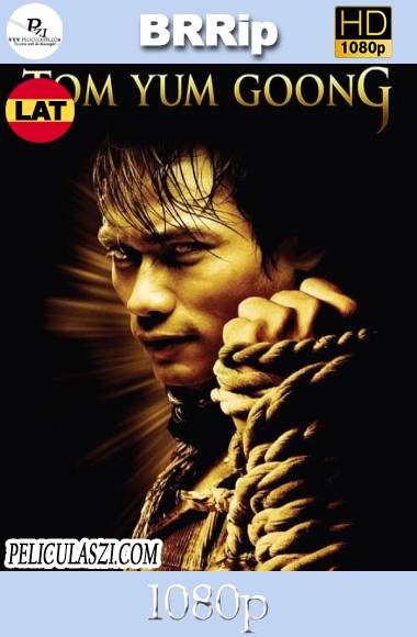 El Protector (2005) HD BRRip 1080p Dual-Latino VIP