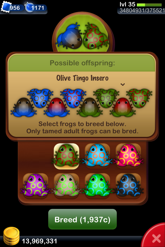 Pocket Frogs Hints, Tips, & Adventures How to Breed Frogs Quickly and