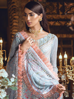 Wholesale Pakistani Suits Fepic Rosemeen Colours