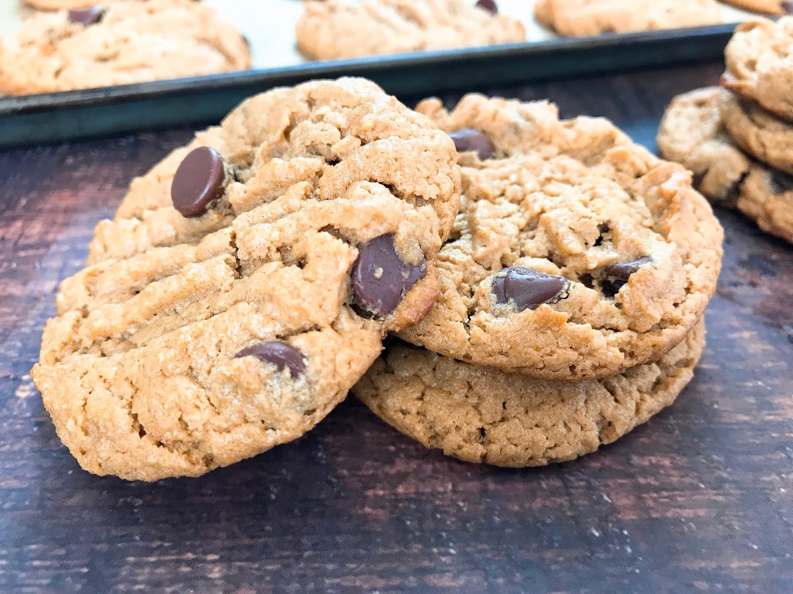 Flourless Peanut Butter and Honey Chocolate Chip Cookies