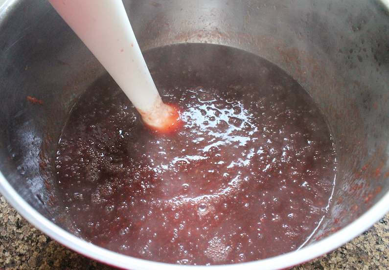 Food Lust People Love Chili Plum Sauce