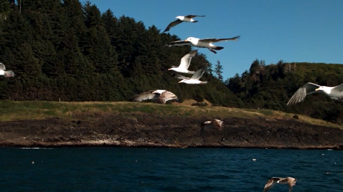 Включи песню летят. Амега лететь обложка. Freedom. Песня крылатые качели. Улетаю текст.