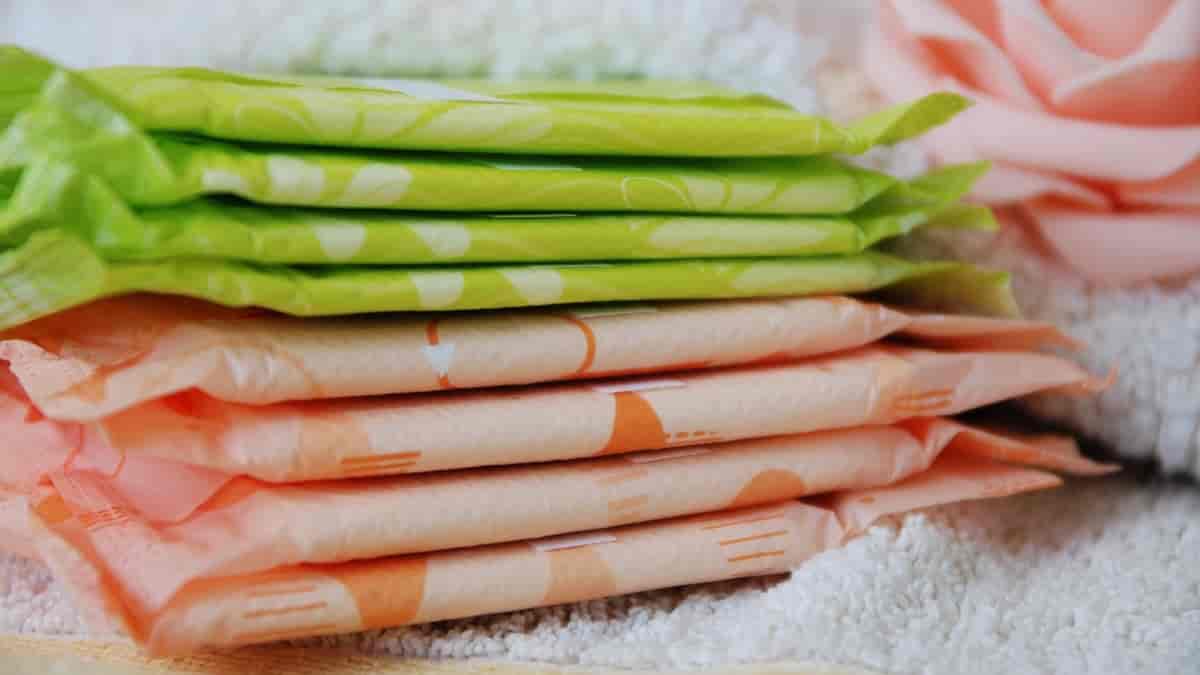 Os 10 principais tipos e modelos de absorvente