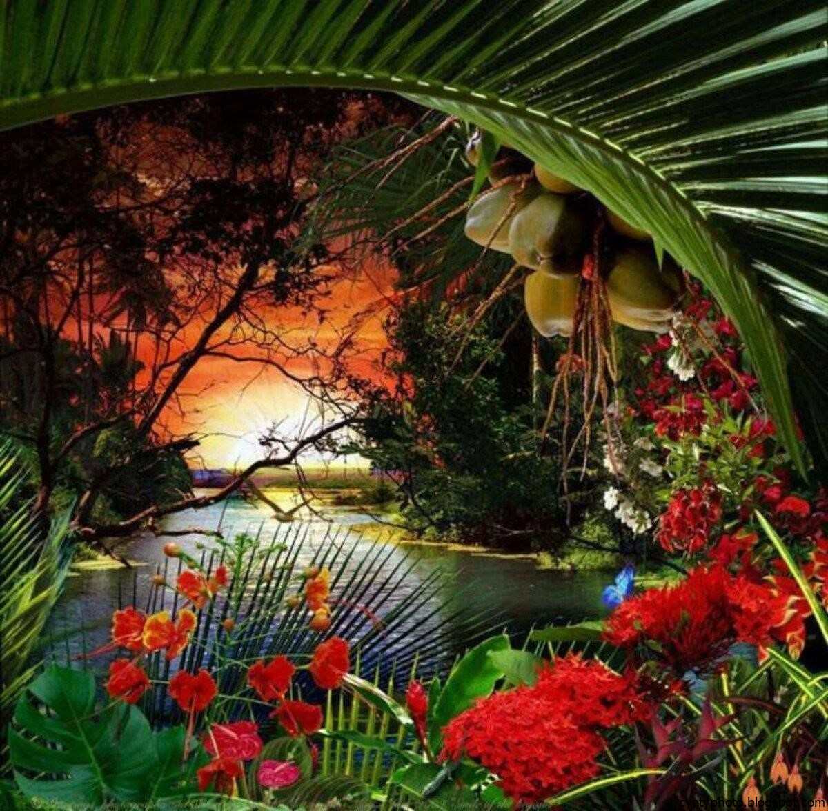 Flowers paradise. Тропические цветы. Экзотическая природа. Красивый пейзаж. Красивые тропические сады с цветами.