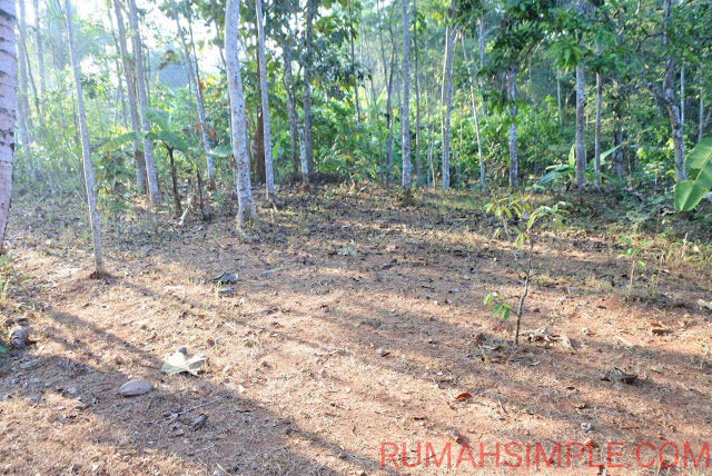 Tanah Murah Patuk Gunungkidul Tanah Murah Yogyakarta